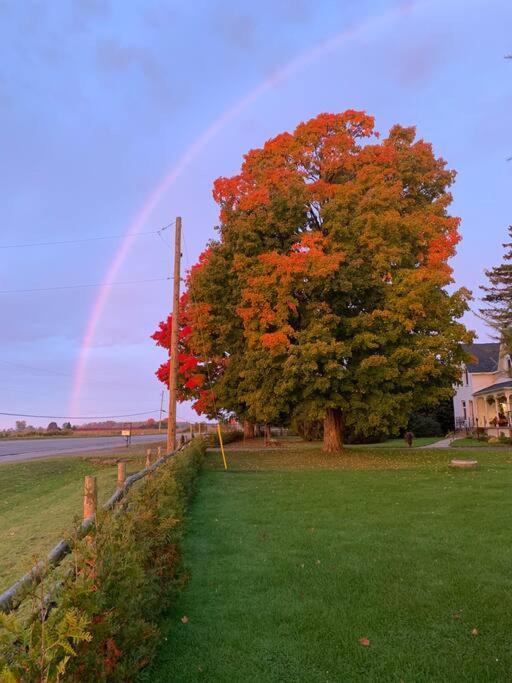 The Barns Of Brighton Near Prince Edward County Экстерьер фото